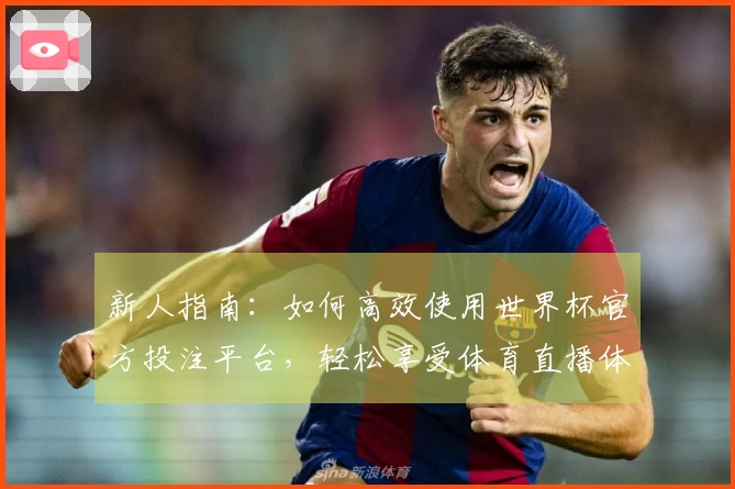 新人指南：如何高效使用世界杯官方投注平台，轻松享受体育直播体验