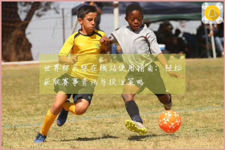 世界杯买球在线站使用指南：轻松获取赛事资讯与投注策略
