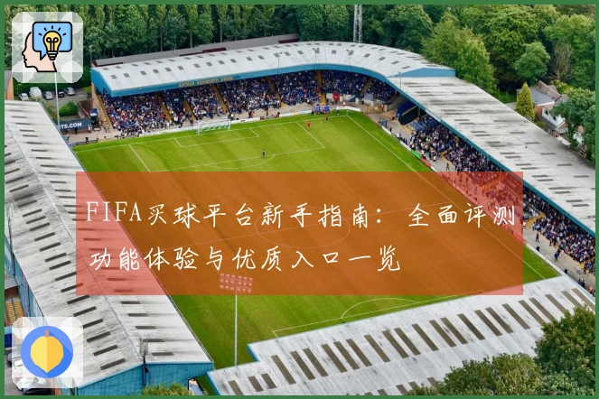 FIFA买球平台新手指南：全面评测功能体验与优质入口一览