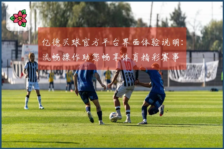 亿德买球官方平台界面体验说明：流畅操作助您畅享体育精彩赛事