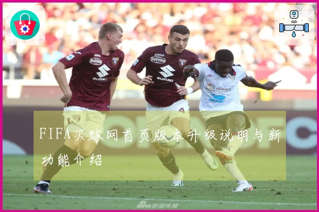 FIFA买球网首页版本升级说明与新功能介绍